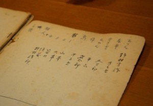narayama2