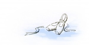 shose1